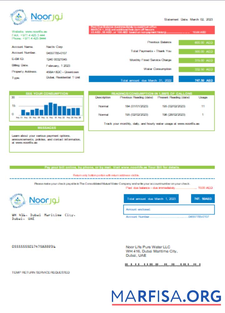 Printable Noor Life Pure Water LLC utility business bill, SCR sample